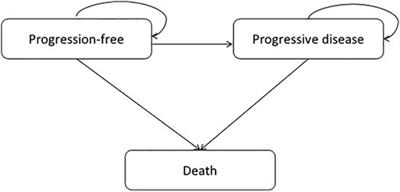 Cost-Effectiveness Analysis of Camrelizumab Plus Chemotherapy vs. Chemotherapy Alone as the First-Line Treatment in Patients With IIIB–IV Non-Squamous Non-Small Cell Lung Cancer (NSCLC) Without EGFR and ALK Alteration from a Perspective of Health - Care System in China